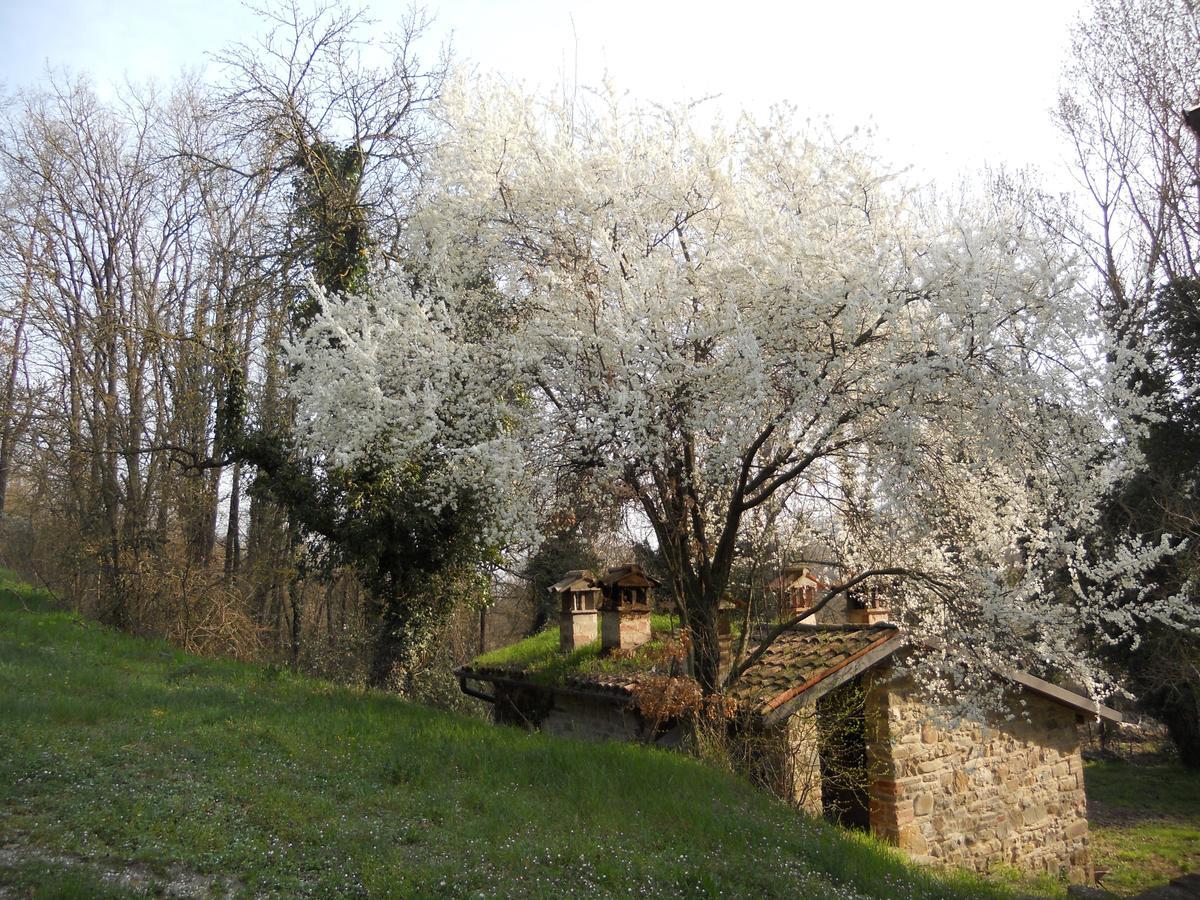 La Cartiera Dei Benandanti Villa Monghidoro ภายนอก รูปภาพ