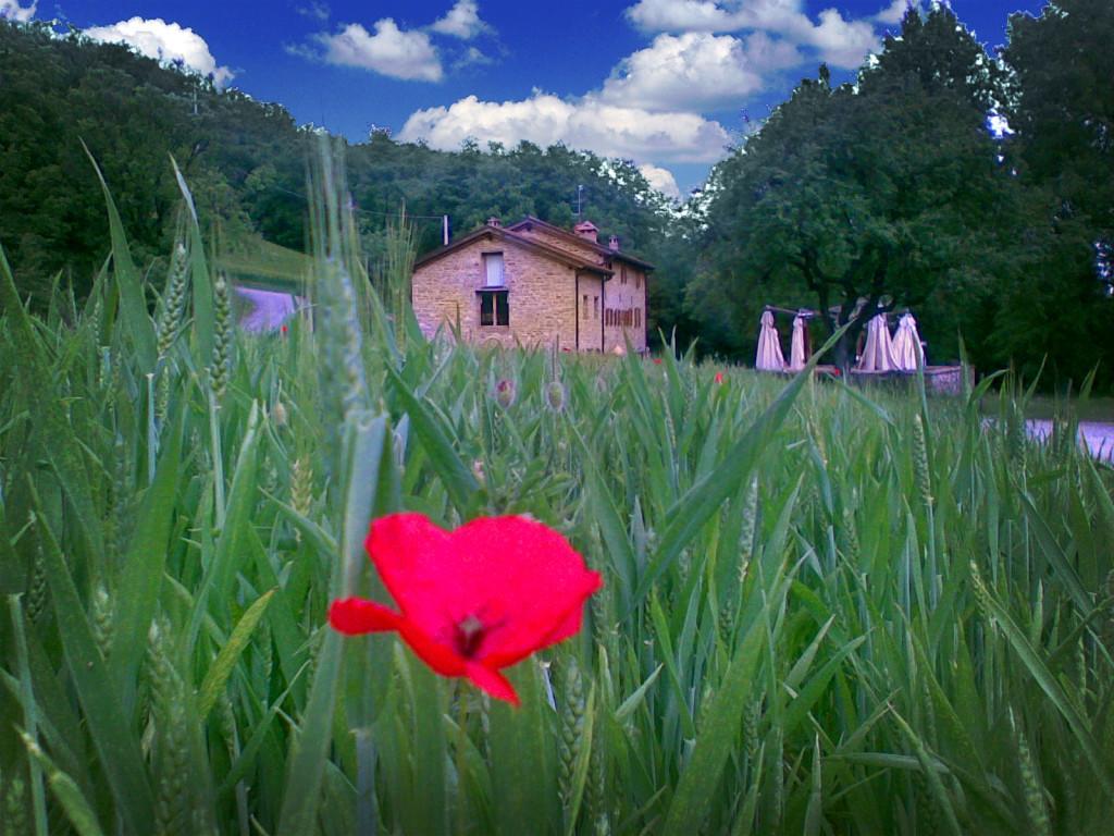 La Cartiera Dei Benandanti Villa Monghidoro ภายนอก รูปภาพ