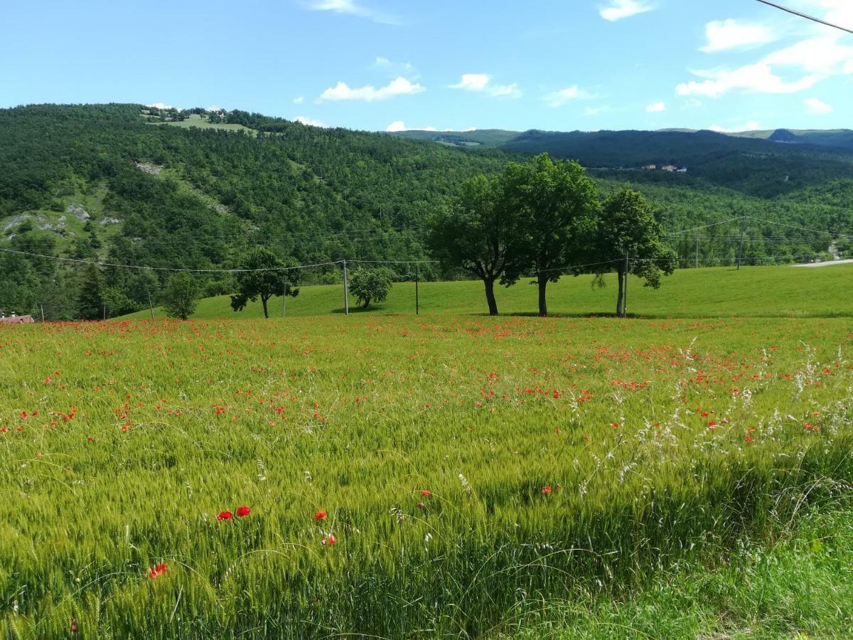 La Cartiera Dei Benandanti Villa Monghidoro ภายนอก รูปภาพ
