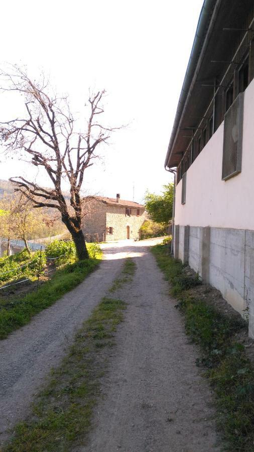 La Cartiera Dei Benandanti Villa Monghidoro ภายนอก รูปภาพ